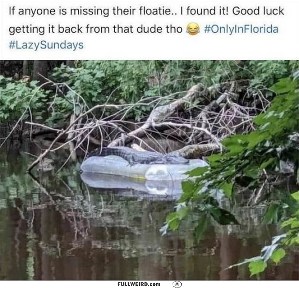 Found Your Floatie