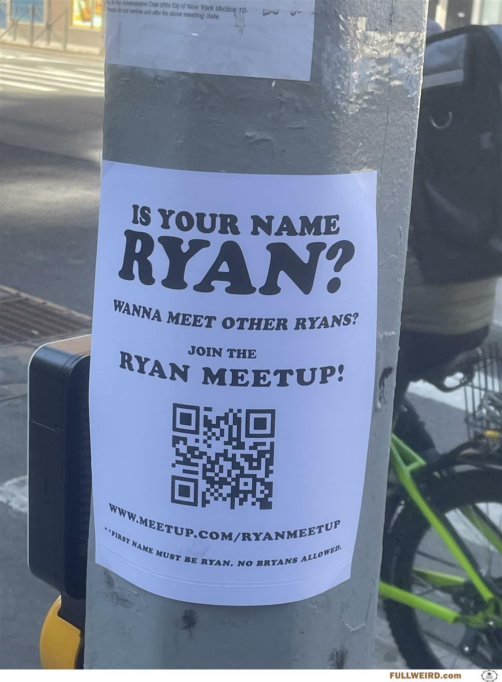 Meet Some Ryans