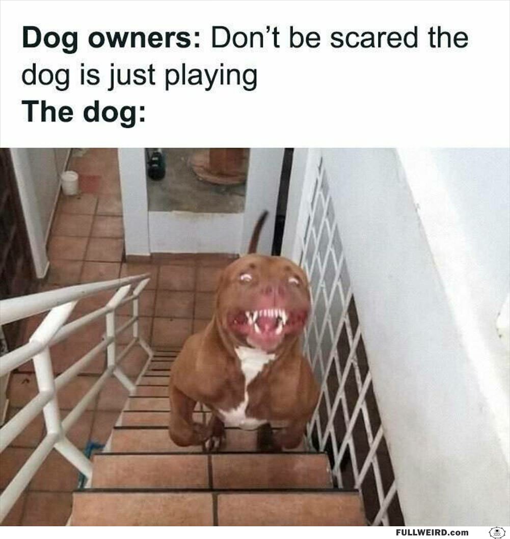 Do Not Be Scared