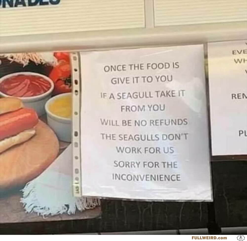Once The Food