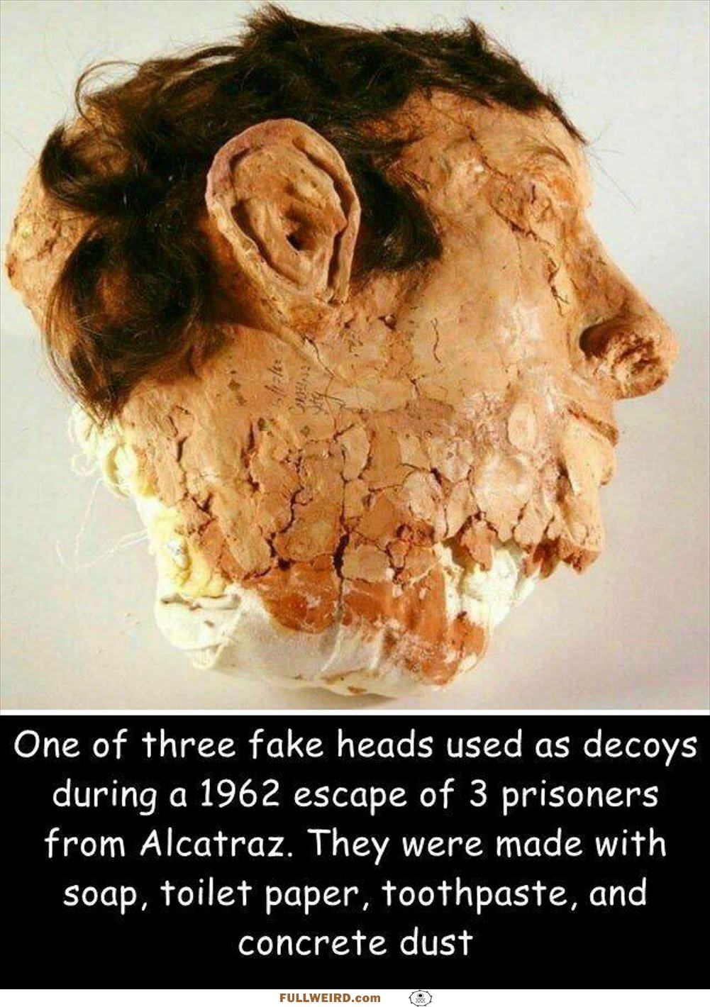 One Of The Fake Heads