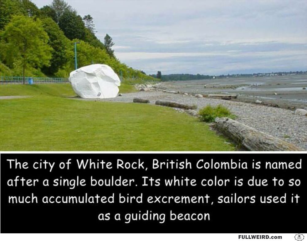 The City Of White Rock